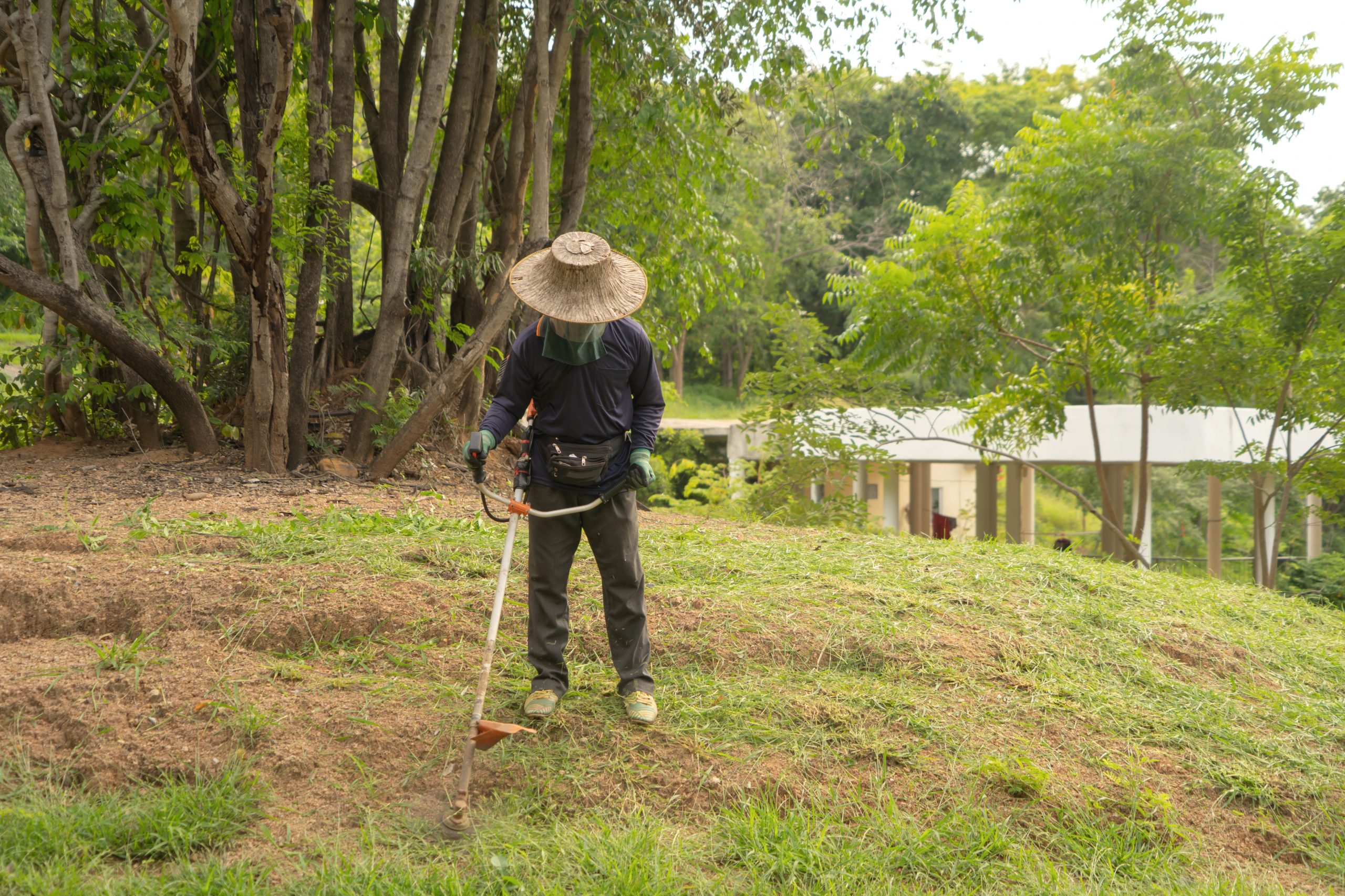 gardening maintenance services Singapore