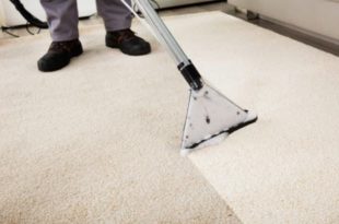 image carpet clean
