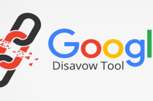 google disacow tool for seo