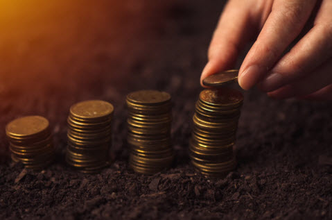 female farmer stacking coins making money in agric