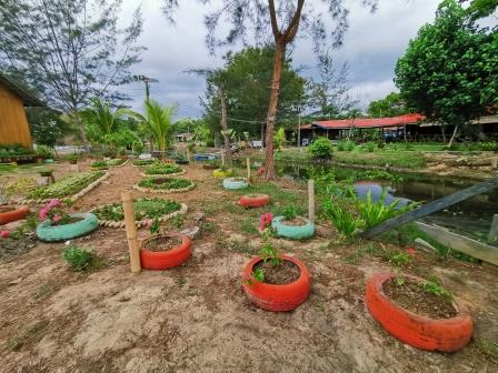 Reusing old tires as makeshift places for planting seeds