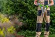 Garden Maintenance Services