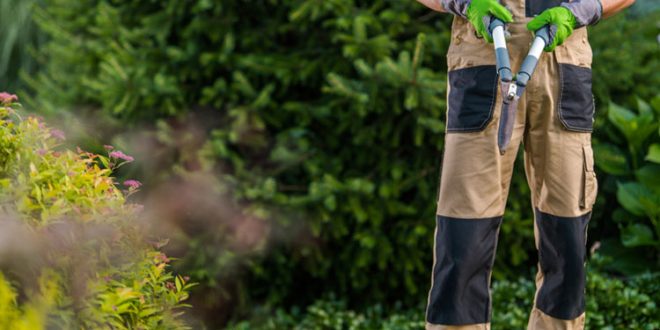 Garden Maintenance Services