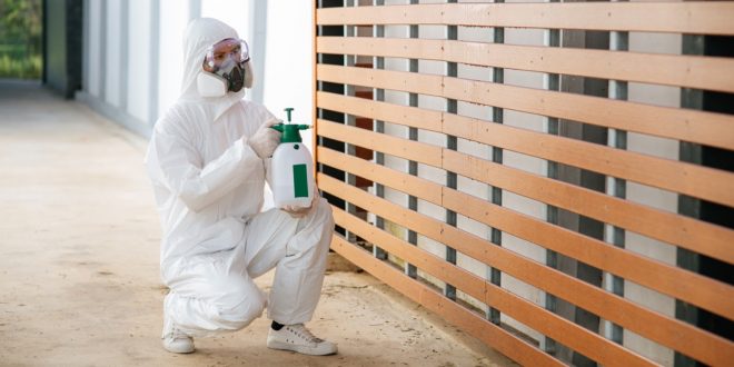 termite control