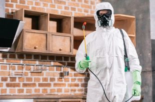 Termites Control