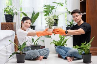 Garden Maintenance Services
