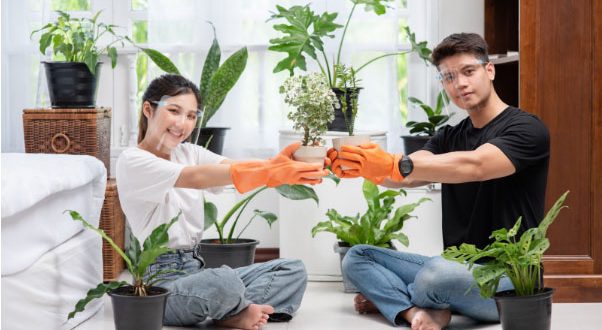 Garden Maintenance Services