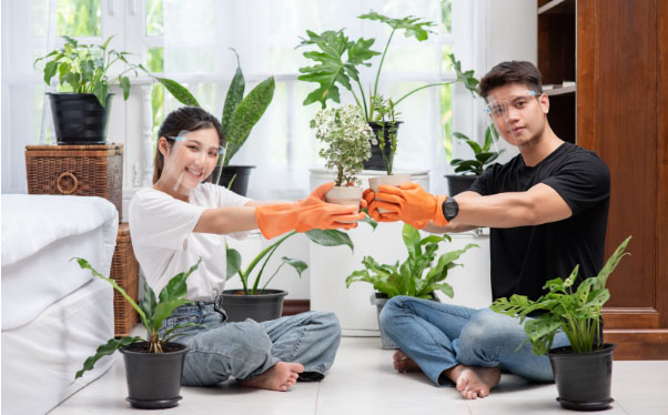 Garden Maintenance Services