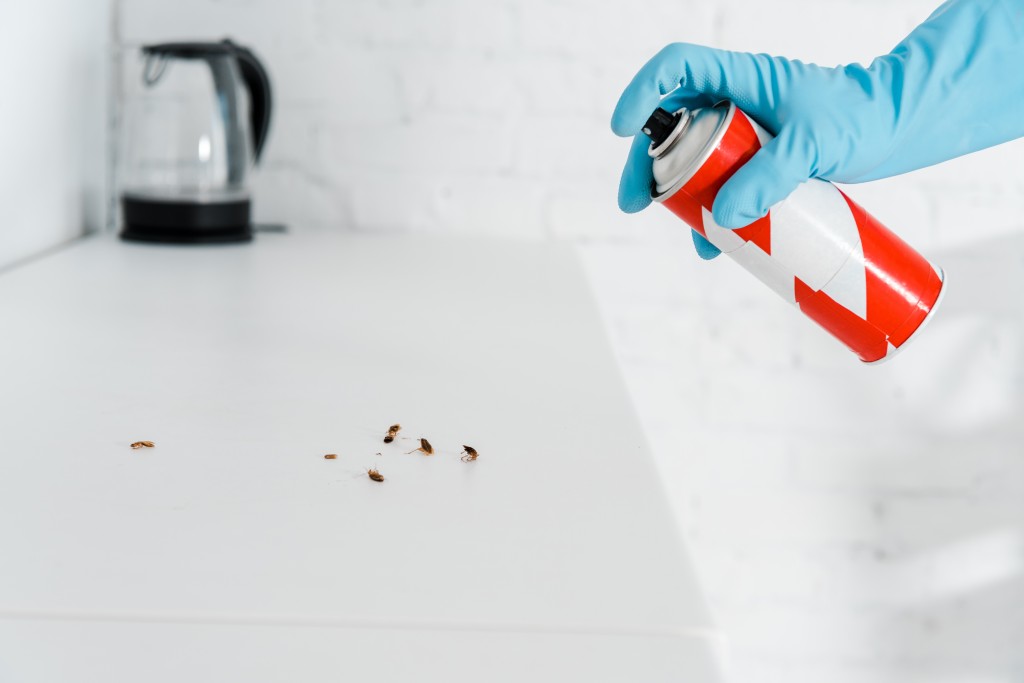 pest-control-services