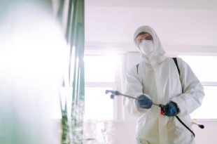 termite control Singapore