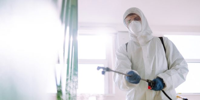 termite control Singapore