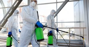 termite pest control Singapore