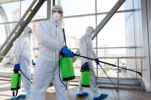 termite pest control Singapore