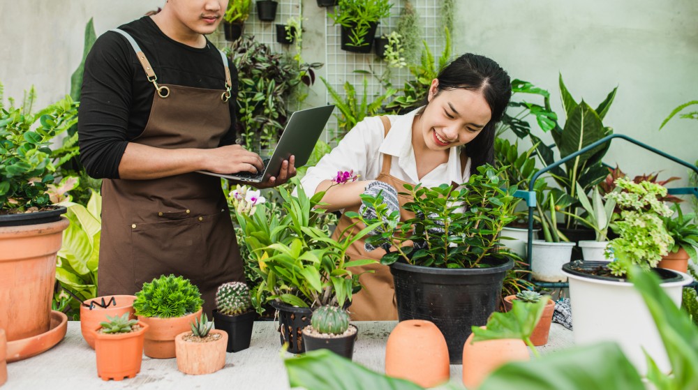landscaping