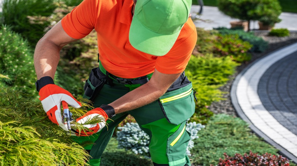 Singapore landscaping companies