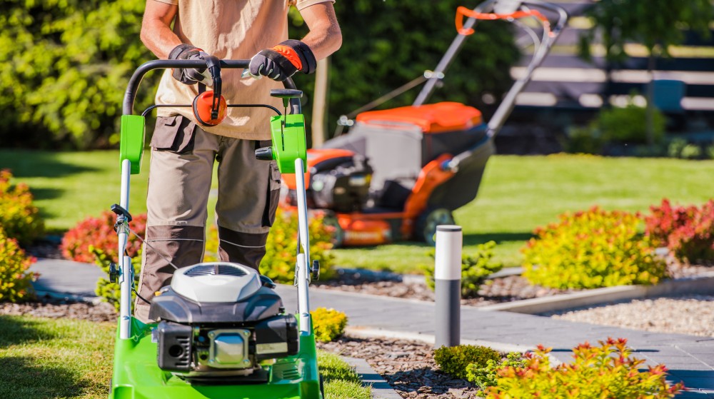 expert landscaping services