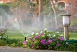 garden maintenance