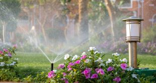 garden maintenance