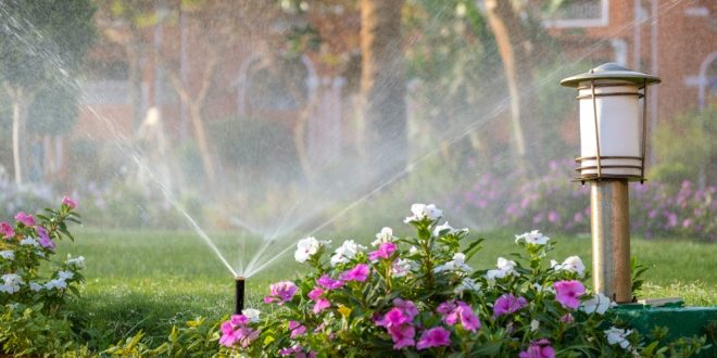 garden maintenance