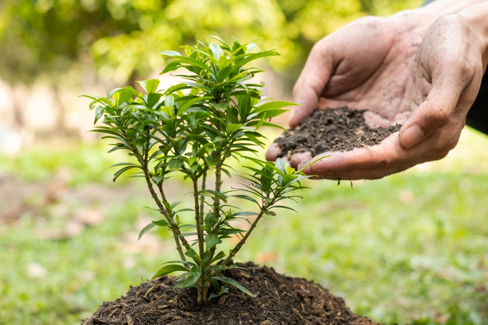 garden maintenance singapore