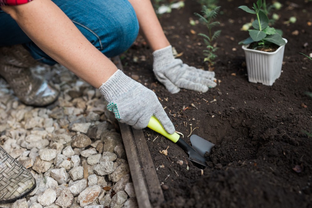 gardening maintenance services Singapore