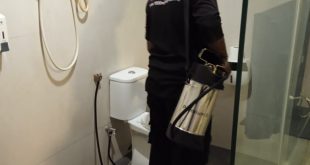 rodent exterminator near me