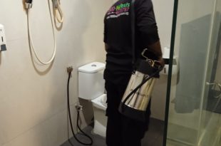 rodent exterminator near me