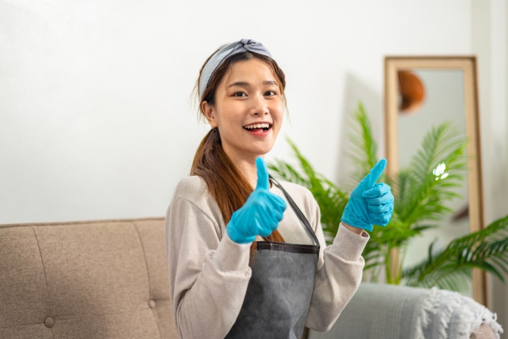 bed bugs control services