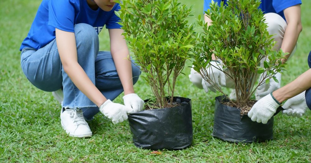 gardening services Singapore