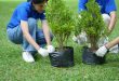 gardening services Singapore