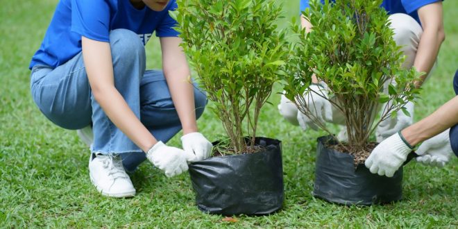 gardening services Singapore