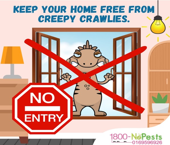 bed bugs treatment