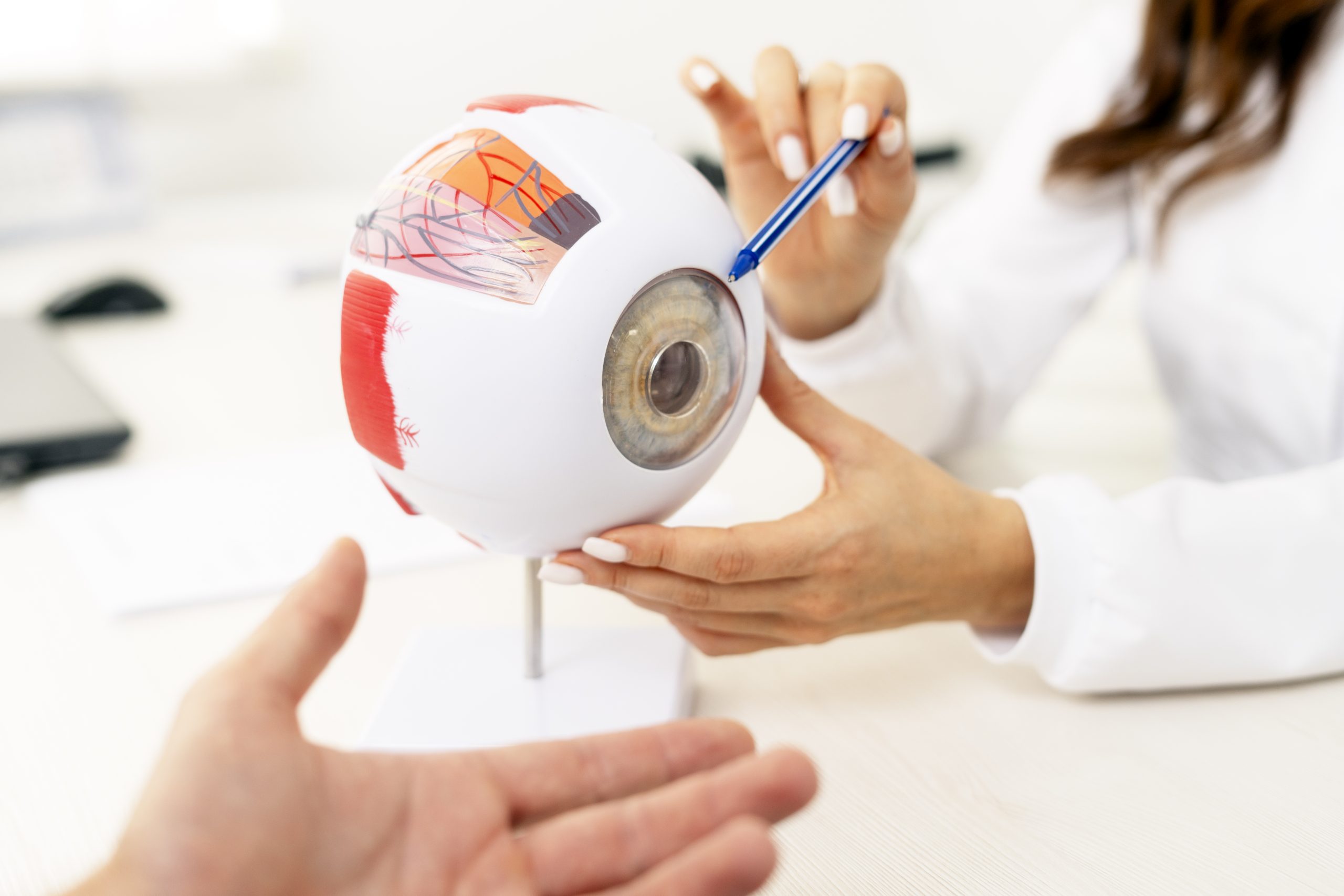 implantable contact lens,
