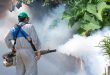 mosquitoes fogging control