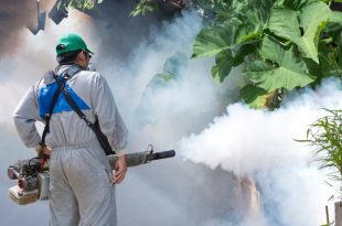 mosquitoes fogging control
