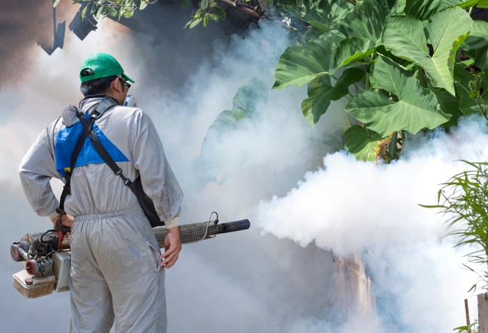 mosquitoes fogging control