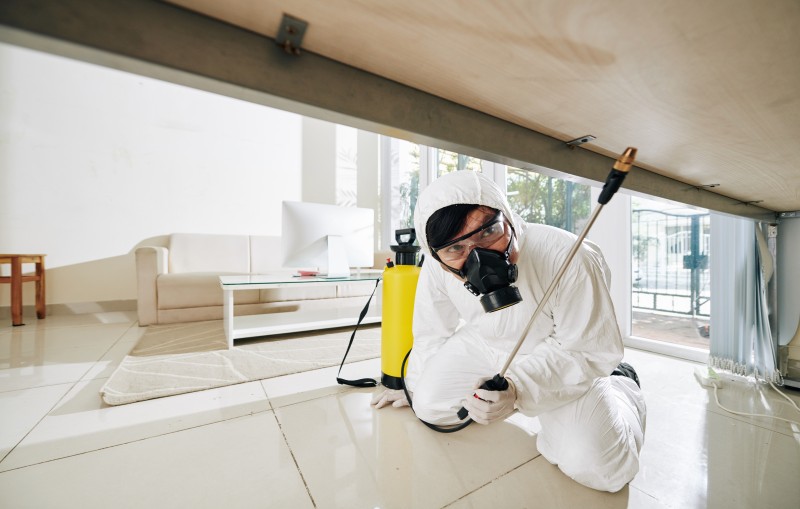 home mosquito treatment
