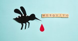 mosquito extermination services