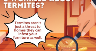 worried about termites