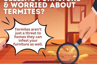 worried about termites