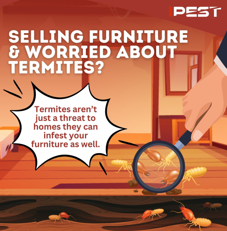 worried about termites