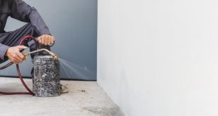 rat control services