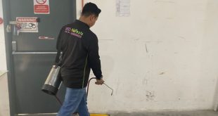 Best ant killer Malaysia