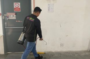 Best ant killer Malaysia