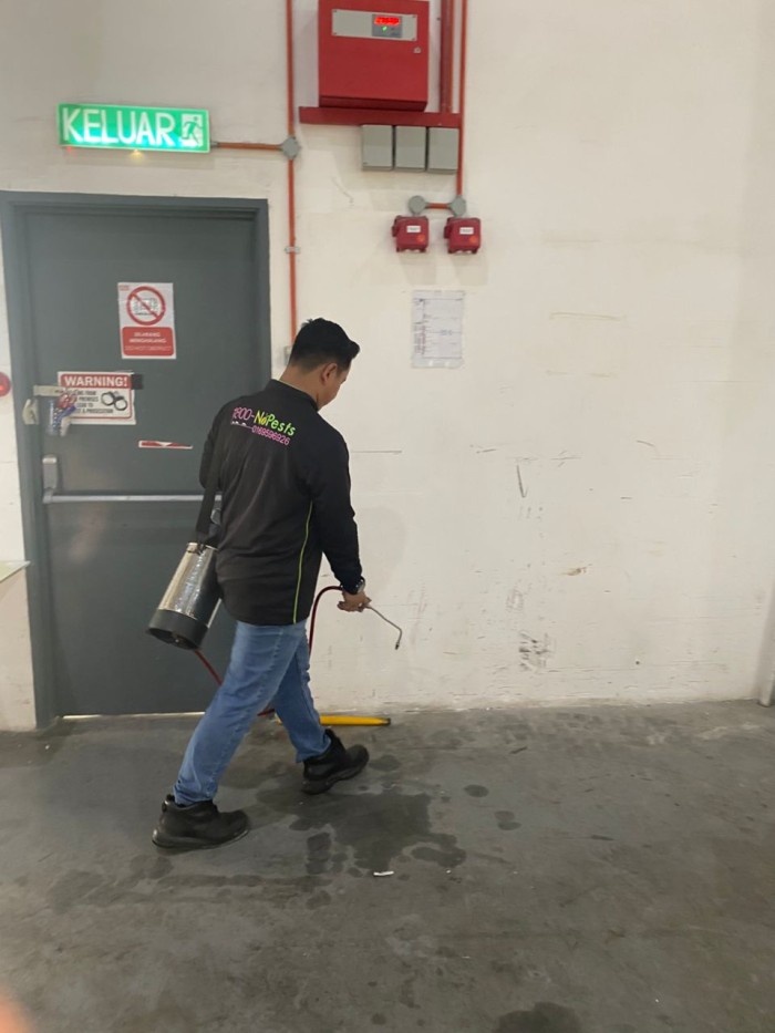 Best ant killer Malaysia