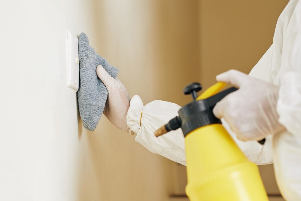 Bathroom mould remover treatment removing mould from tiles
