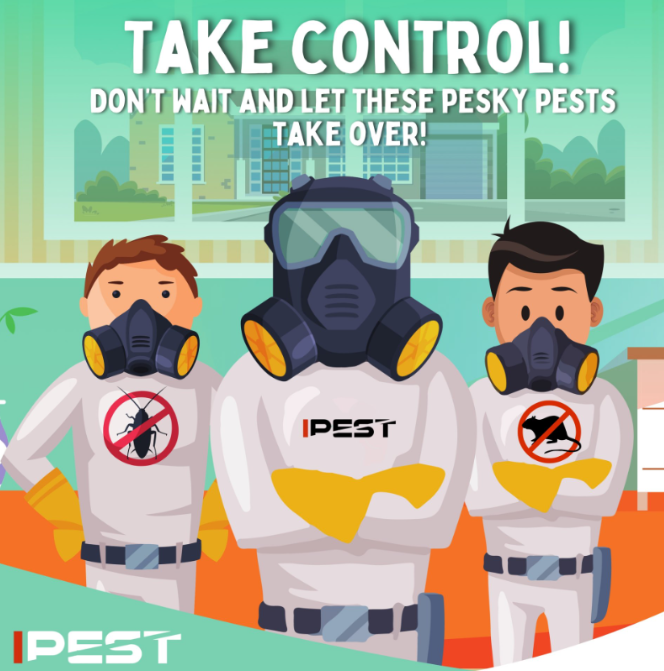 Rats-Removal-Service