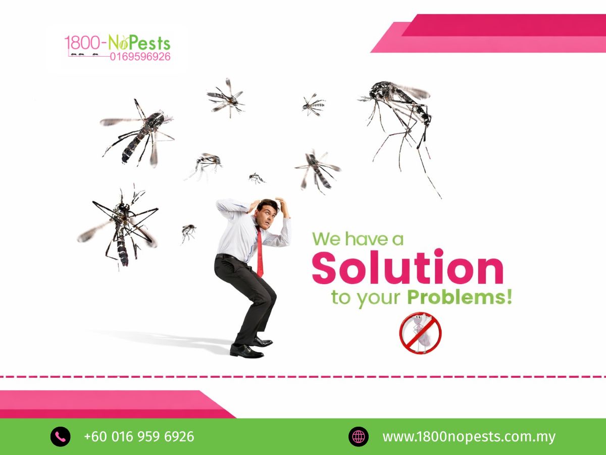 Mosquito extermination services by 1800NoPests Malaysia