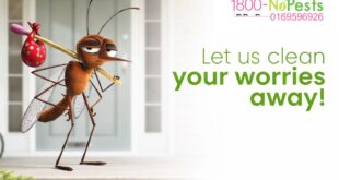 Mosquito control services in Malaysia