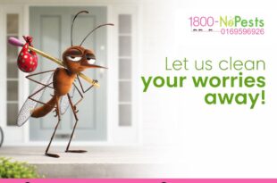 Mosquito control services in Malaysia